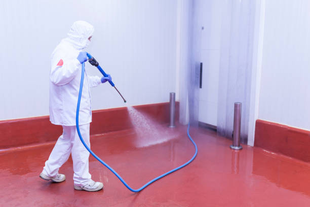 Best Roof Washing  in Wildwood, FL