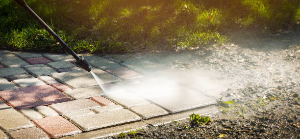 Best Dumpster Area Cleaning  in Wildwood, FL